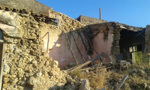 immagine annuncio 3 di 14