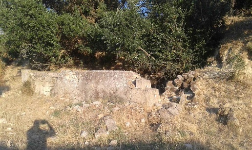 immagine annuncio 10 di 14