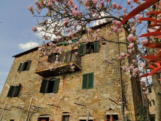 immagine annuncio 7 di 8