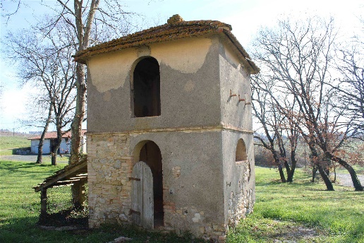 immagine annuncio 11 di 12