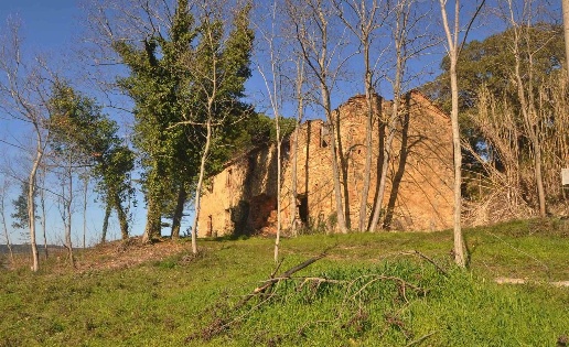 immagine annuncio 3 di 13