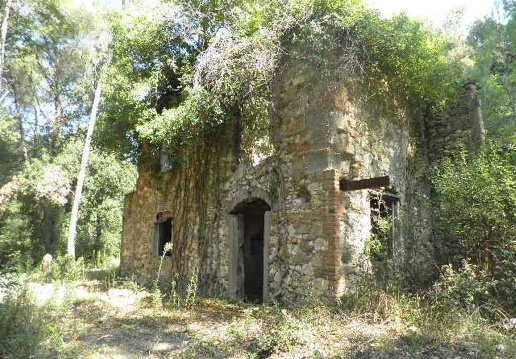 immagine annuncio 3 di 13