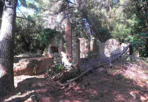 immagine annuncio 7 di 13
