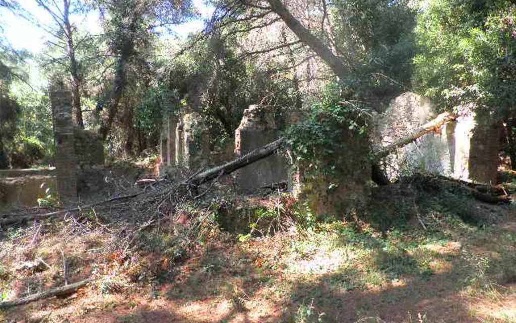 immagine annuncio 8 di 13