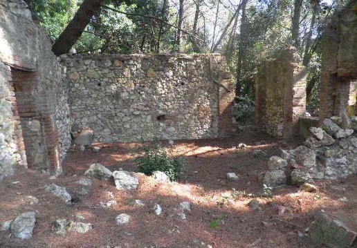 immagine annuncio 11 di 13