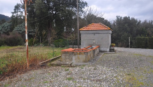 immagine annuncio 5 di 12