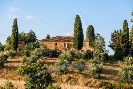 Foto Rustico a Torrita di Siena Montefollonico di 630 m² con 23 locali