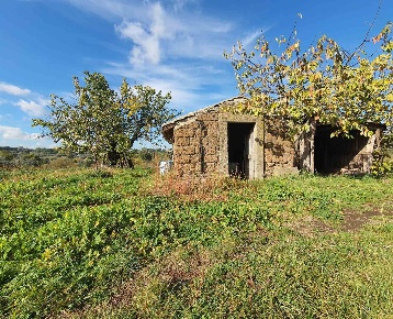Foto Rustico in Strada Fonti, Vitorchiano di 40 m² con 1 locali in vendita