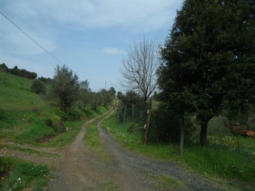 immagine annuncio 10 di 14