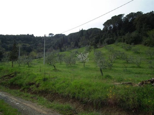 immagine annuncio 11 di 14