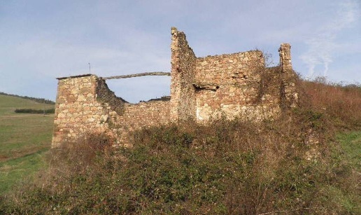 immagine annuncio 4 di 9