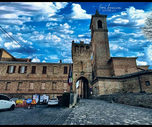 immagine annuncio 5 di 8