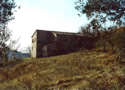 immagine annuncio 2 di 8