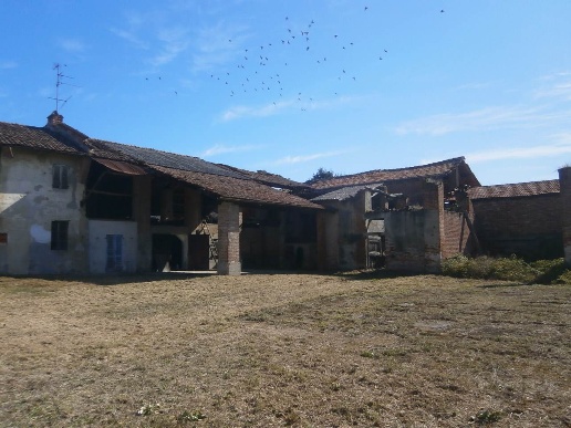 immagine annuncio 4 di 12