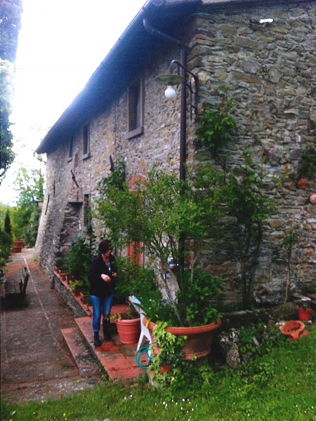 immagine annuncio 9 di 11