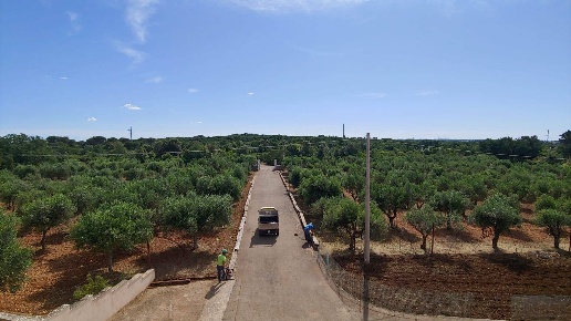 immagine annuncio 5 di 11