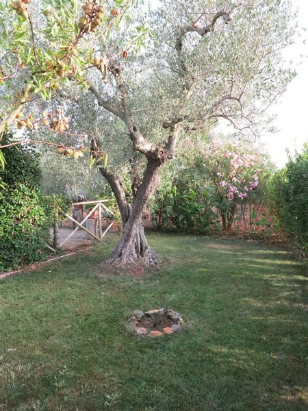 immagine annuncio 6 di 11