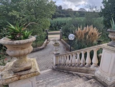 Foto Rustico a Tuscania di 150 m² con 10 locali in vendita