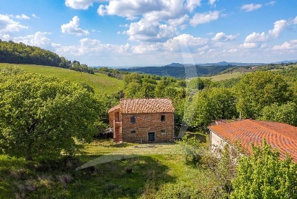 Foto Rustico a Pienza Monticchiello di 125 m² con 12 locali in vendita