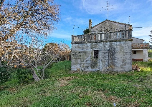 immagine annuncio 2 di 14