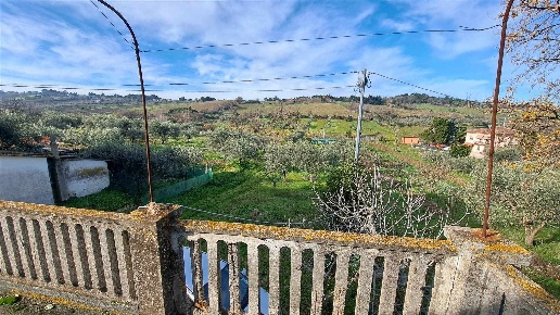 immagine annuncio 5 di 14