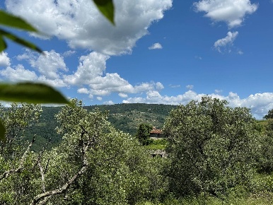 Foto Rustico a Serravalle Pistoiese di 540 m² con 11 locali in vendita