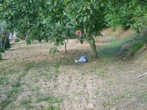 immagine annuncio 6 di 13