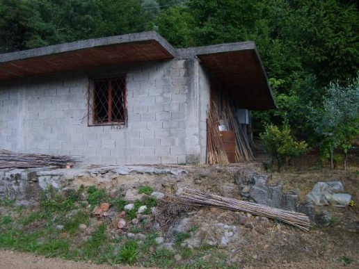 immagine annuncio 7 di 13