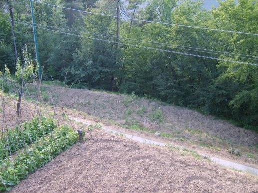 immagine annuncio 10 di 13