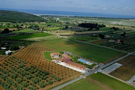 Foto Rustico a Scarlino di 800 m² con 1 locali in vendita