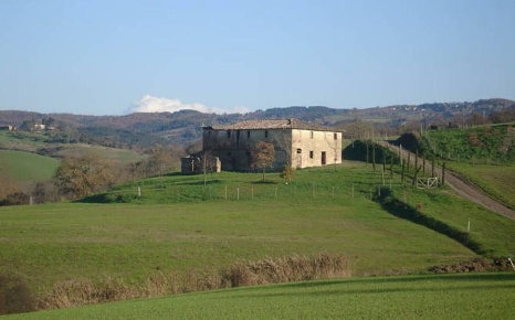 Foto Rustico a Peccioli di 750 m² con 16 locali in vendita