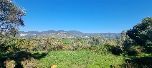Foto Rustico in via mirtense, Poggio Nativo di 88 m² con 3 locali