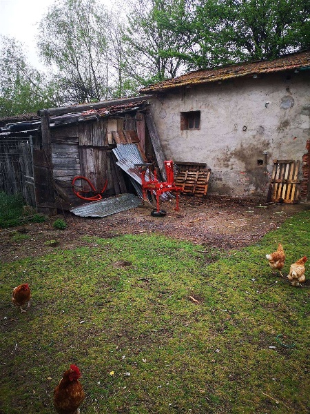 immagine annuncio 4 di 15