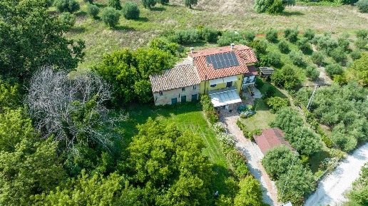 immagine annuncio 3 di 11