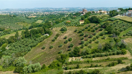immagine annuncio 5 di 11