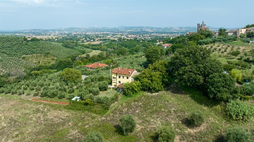 immagine annuncio 6 di 11