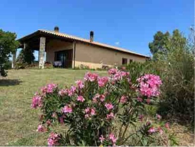 Foto Rustico a Magliano in Toscana Centro di 150 m² con 6 locali in vendita