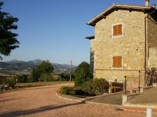 immagine annuncio 10 di 12