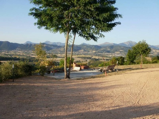 immagine annuncio 11 di 12