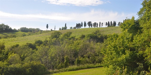 Foto Rustico a Montecatini Val di Cecina di 300 m² con 2 locali in vendita