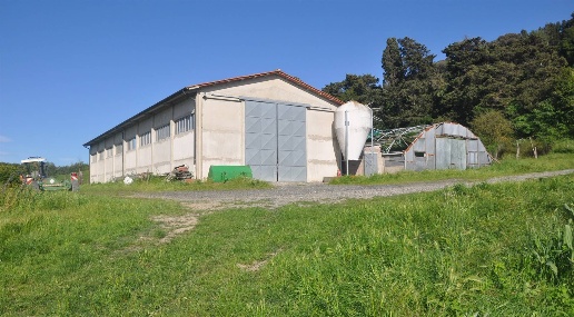 immagine annuncio 4 di 11