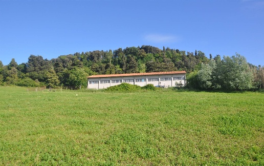 immagine annuncio 5 di 11