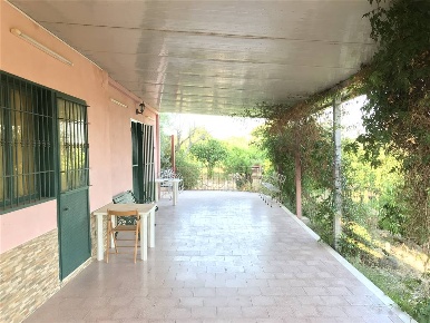 Foto Rustico in Contrada Montagnola, Scordia di 5000 m² con 2 locali