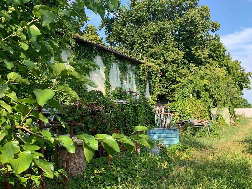 immagine annuncio 11 di 15