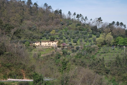 Foto Rustico a Lamporecchio di 315 m² con 9 locali in vendita