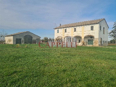 Foto Rustico in Via Dismano  775, Bertinoro Castiglione di 480 m²
