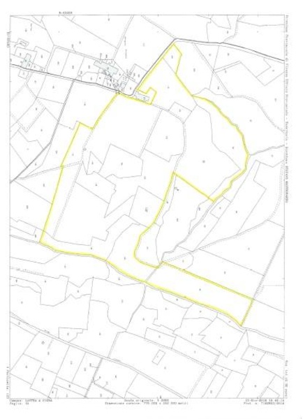 immagine annuncio 9 di 12