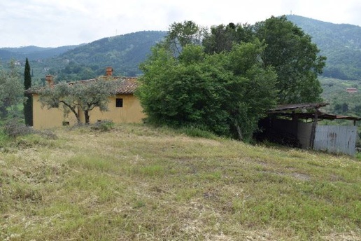 immagine annuncio 6 di 9
