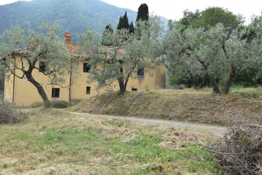 immagine annuncio 8 di 9