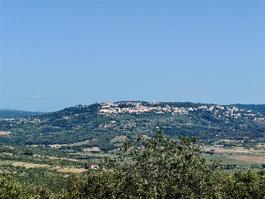 Foto Rustico a Massa Marittima di 135 m² con 4 locali in vendita